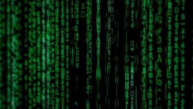 phone number analysis insights