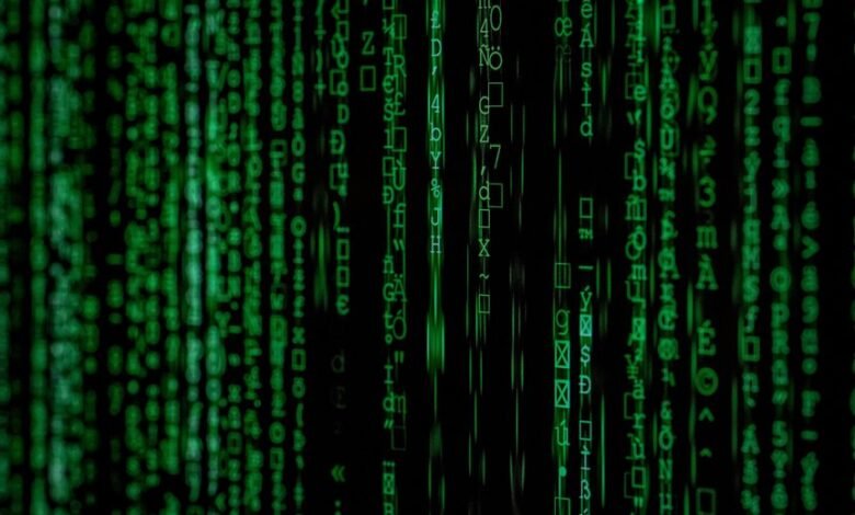 phone number analysis insights